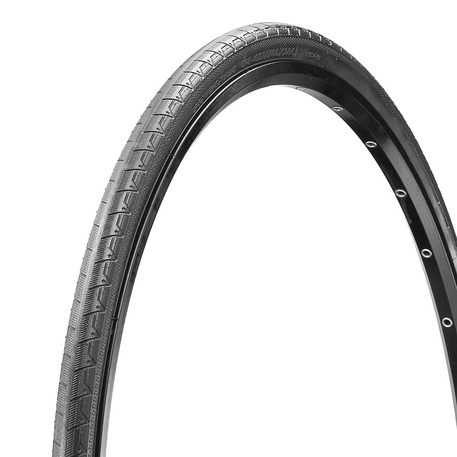 Evo Recurve: Unleash Your Ride. Road Royalty. Effortless Speed. Champion's Choice.